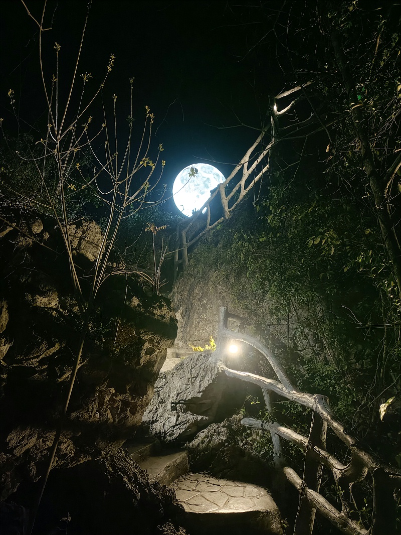 月亮球景观灯