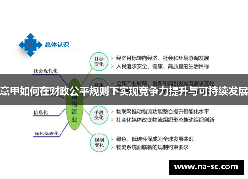 意甲如何在财政公平规则下实现竞争力提升与可持续发展