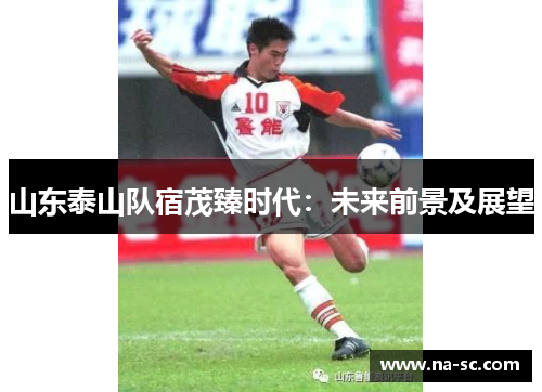 山东泰山队宿茂臻时代：未来前景及展望