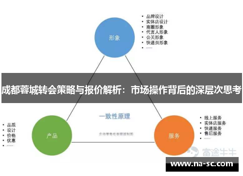 成都蓉城转会策略与报价解析：市场操作背后的深层次思考