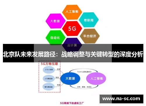 北京队未来发展路径：战略调整与关键转型的深度分析