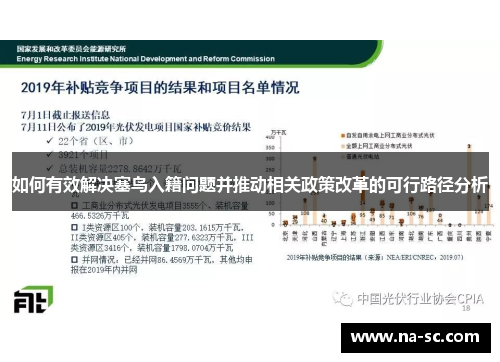 如何有效解决塞鸟入籍问题并推动相关政策改革的可行路径分析