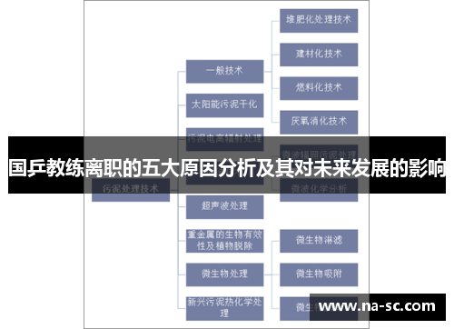 国乒教练离职的五大原因分析及其对未来发展的影响