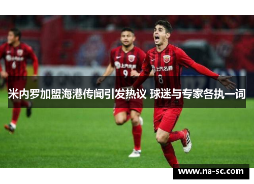 米内罗加盟海港传闻引发热议 球迷与专家各执一词