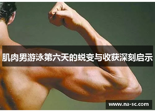 肌肉男游泳第六天的蜕变与收获深刻启示