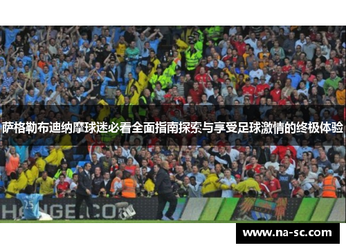 萨格勒布迪纳摩球迷必看全面指南探索与享受足球激情的终极体验