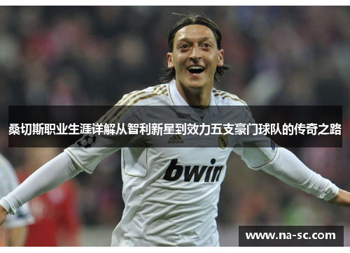 桑切斯职业生涯详解从智利新星到效力五支豪门球队的传奇之路