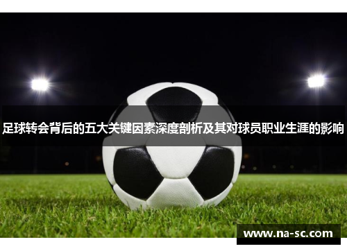 足球转会背后的五大关键因素深度剖析及其对球员职业生涯的影响